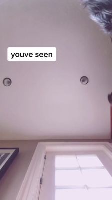 000_001_0004.jpeg