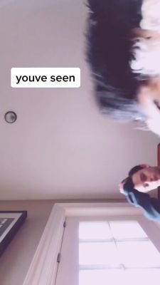 000_001_0011.jpeg