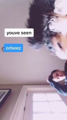 000_001_0012.jpeg