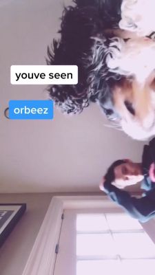 000_001_0013.jpeg
