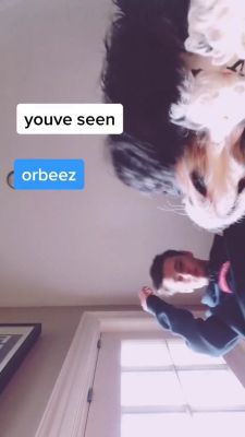 000_001_0015.jpeg