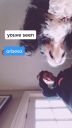 000_001_0019.jpeg