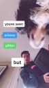 000_001_0041.jpeg