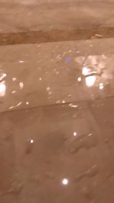 000_001_0082.jpeg