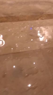 000_001_0083.jpeg