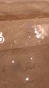 000_001_0083.jpeg