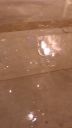 000_001_0089.jpeg