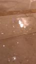 000_001_0091.jpeg