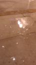000_001_0092.jpeg
