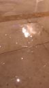 000_001_0093.jpeg