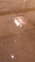 000_001_0094.jpeg