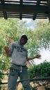 000_001_0057.jpeg