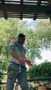 000_001_0090.jpeg