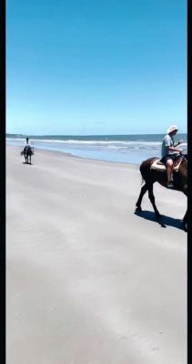 000_001_0027.jpeg