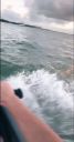 000_001_0015.jpeg