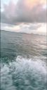 000_001_0019.jpeg