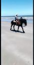 000_001_0021.jpeg