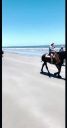 000_001_0026.jpeg