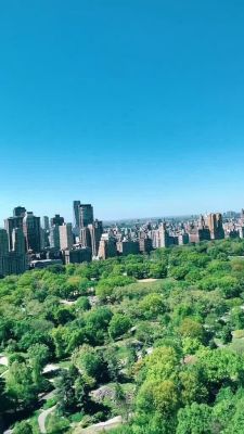 000_001_0110.jpeg