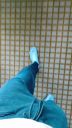 000_001_0007.jpeg