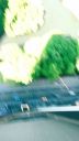 000_001_0030.jpeg