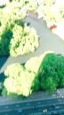 000_001_0031.jpeg