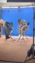 000_001_0340.jpeg