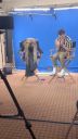 000_001_0432.jpeg