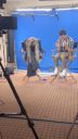 000_001_0433.jpeg