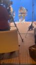 000_001_0481.jpeg