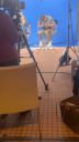 000_001_0482.jpeg