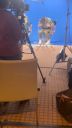 000_001_0485.jpeg