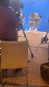 000_001_0486.jpeg