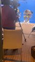 000_001_0487.jpeg