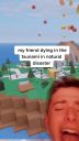 000_001_0017.jpeg