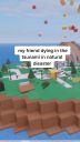 000_001_0021.jpeg