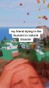 000_001_0029.jpeg