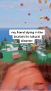 000_001_0030.jpeg