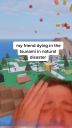 000_001_0033.jpeg