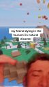 000_001_0045.jpeg