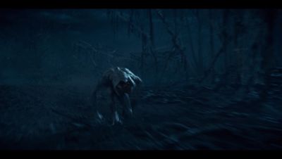 000_001_1317.jpeg