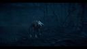 000_001_1317.jpeg