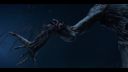 000_001_1193.jpeg