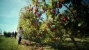 000_001_1627.jpeg