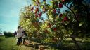 000_001_1629.jpeg