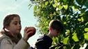 000_001_1630.jpeg