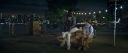 000_001_0439.jpeg