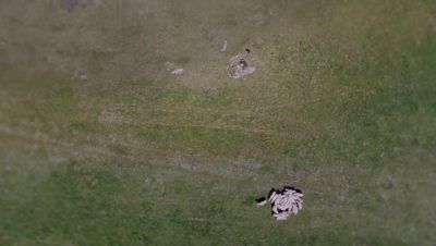 000_001_0225.jpeg