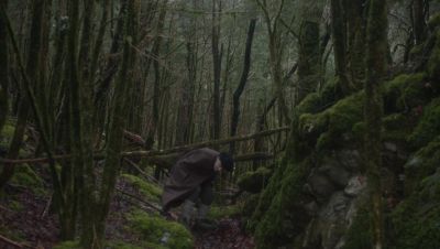 000_001_0347.jpeg
