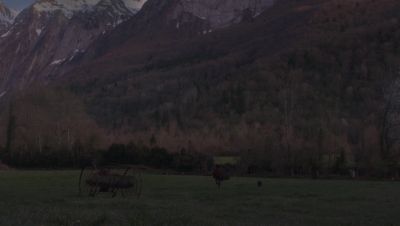 Click to view full size image
==============
000_001_0507.jpeg 000_001_0507.jpeg